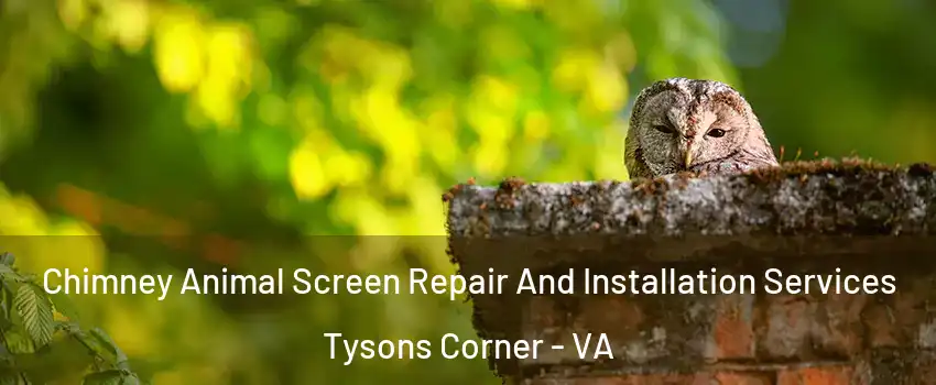  Chimney Animal Screen Repair And Installation Services Tysons Corner - VA