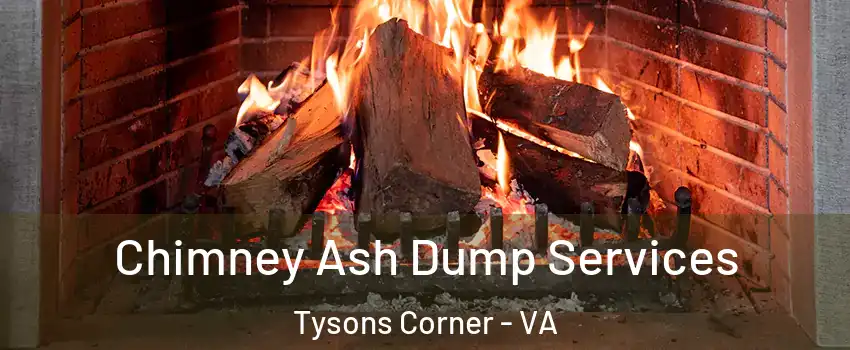  Chimney Ash Dump Services Tysons Corner - VA