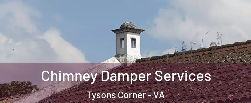  Chimney Damper Services Tysons Corner - VA