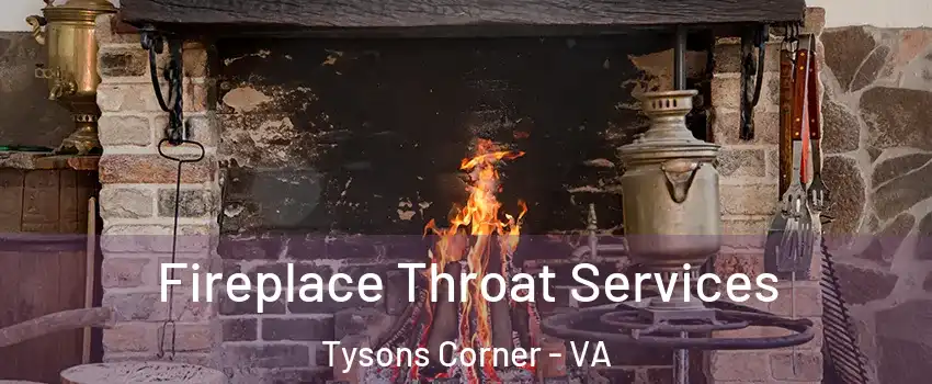  Fireplace Throat Services Tysons Corner - VA