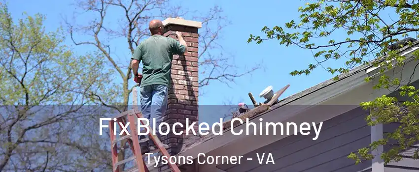  Fix Blocked Chimney Tysons Corner - VA