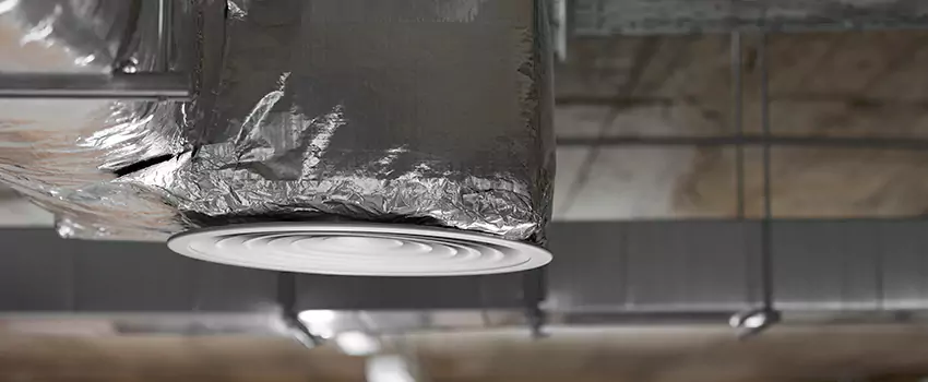 Signs of Dust Accumulation in Vents in Tysons Corner, VA