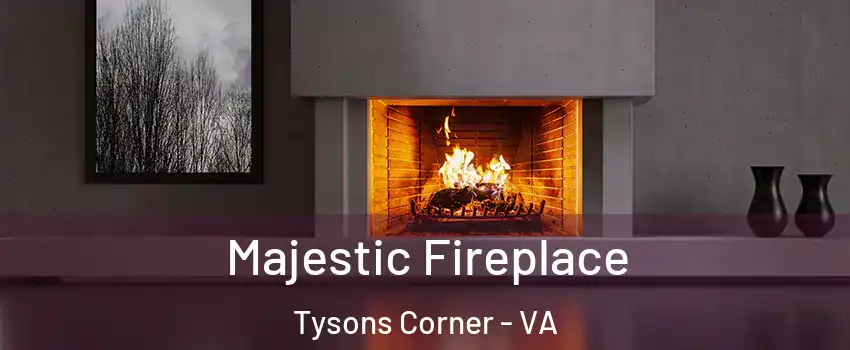  Majestic Fireplace Tysons Corner - VA