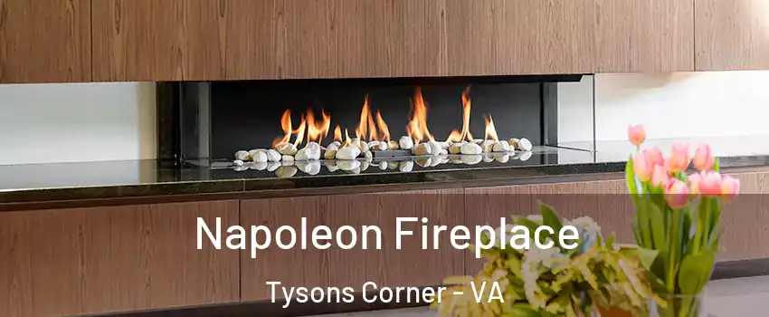  Napoleon Fireplace Tysons Corner - VA