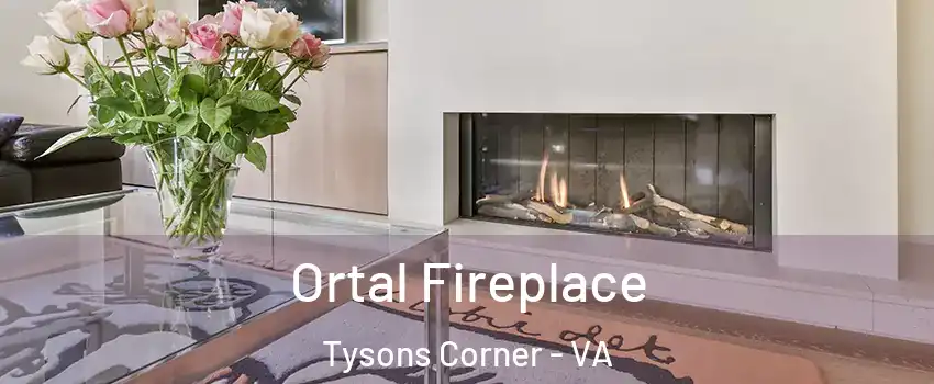  Ortal Fireplace Tysons Corner - VA
